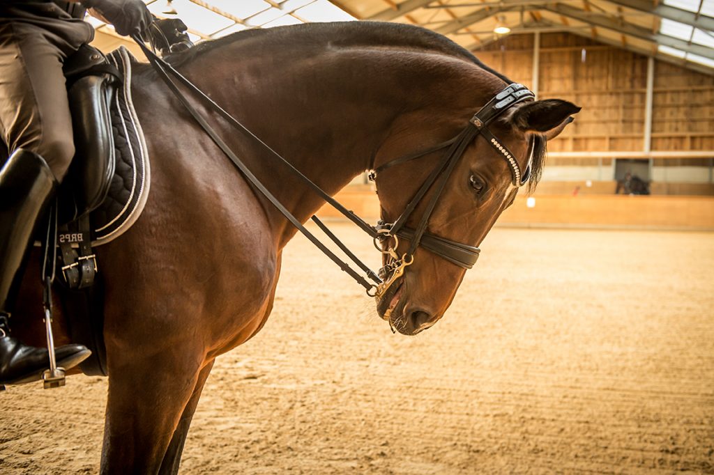 Les ecuries (133 of 100)